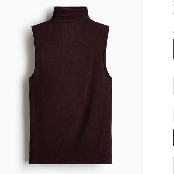H&M Tops - H&M Dark Brown Sleeveless Mock Neck Turtleneck Top